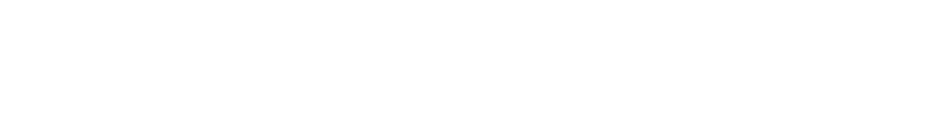 NESN+